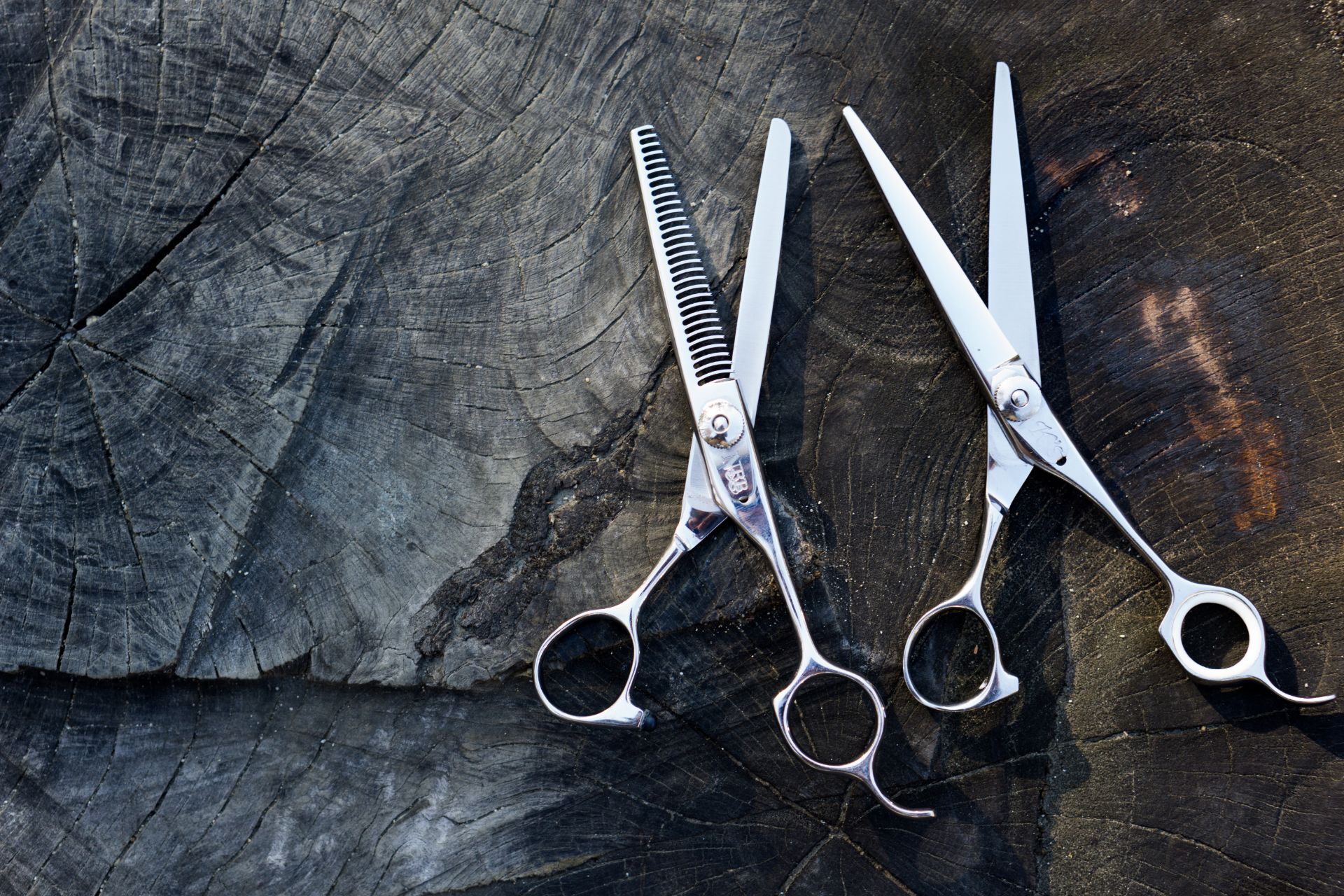 AdobeStock_132119817